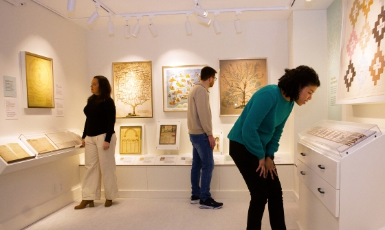 visitors viewing an exhibit