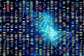 dna strand