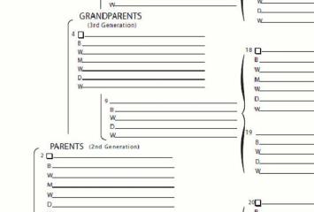 15 Generation Chart