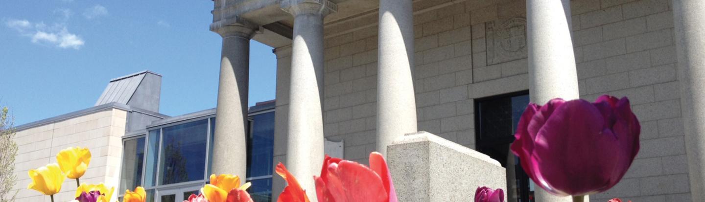 pilgrim hall museum with tulips