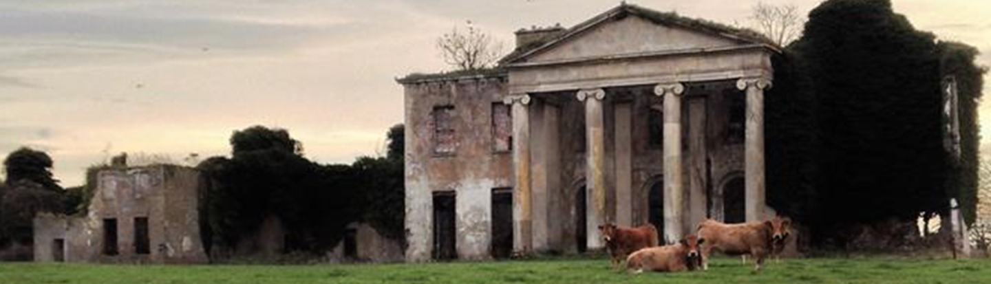 House in Ireland with cows