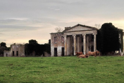 House in Ireland with cows
